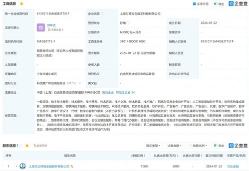 萬達(dá)在上海成立數(shù)字科技公司 布局互聯(lián)網(wǎng)銷售與基礎(chǔ)軟件服務(wù)